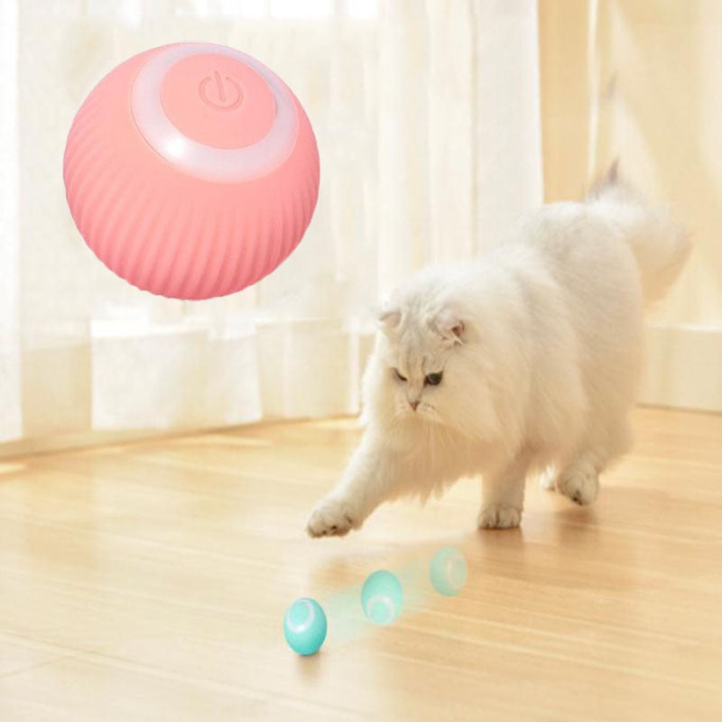 Smart Toy Ball
