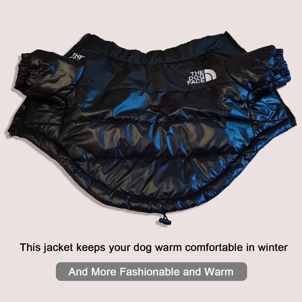 The DogFace Winter Coat