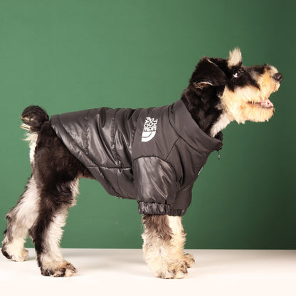 The DogFace Winter Coat