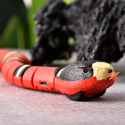 Smart Snake Toy