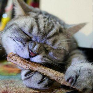 Cat Chew Stick
