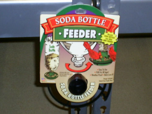 Soda Bottle Feeder for Birds